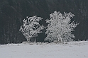 Bieszczady 12.2007 027